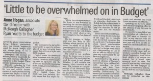 Anne Hogan's Article on Budget 2017
