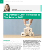 Cover Image of Anne Hogan's article on the Domicile Levy from the Irish Tax Review